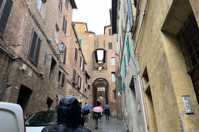 Siena Guided Tour with Cathedral and Optional Crypt and Museum