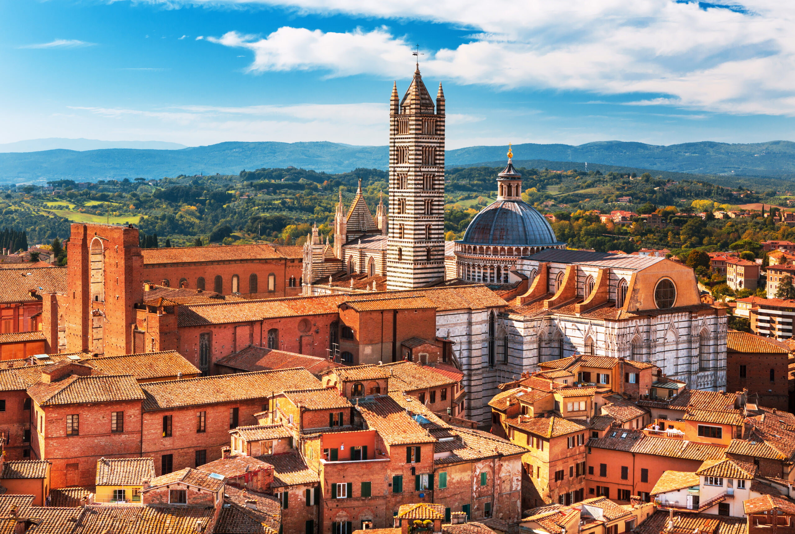 Guided tour in Siena