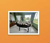 The Benefits of Guided Tours on Your Travels