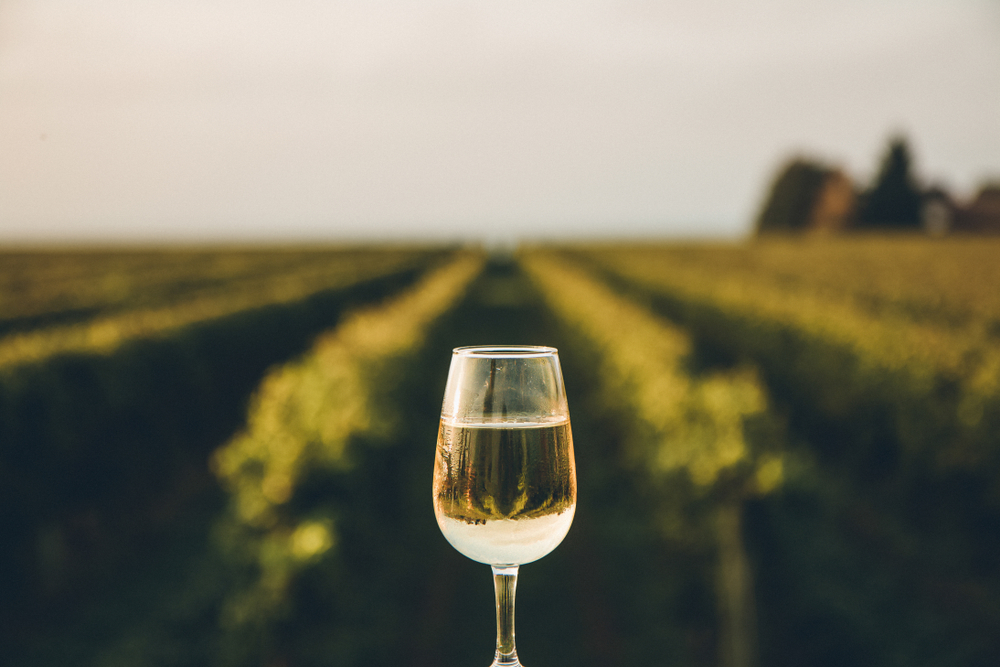 Italian Wine cup filled