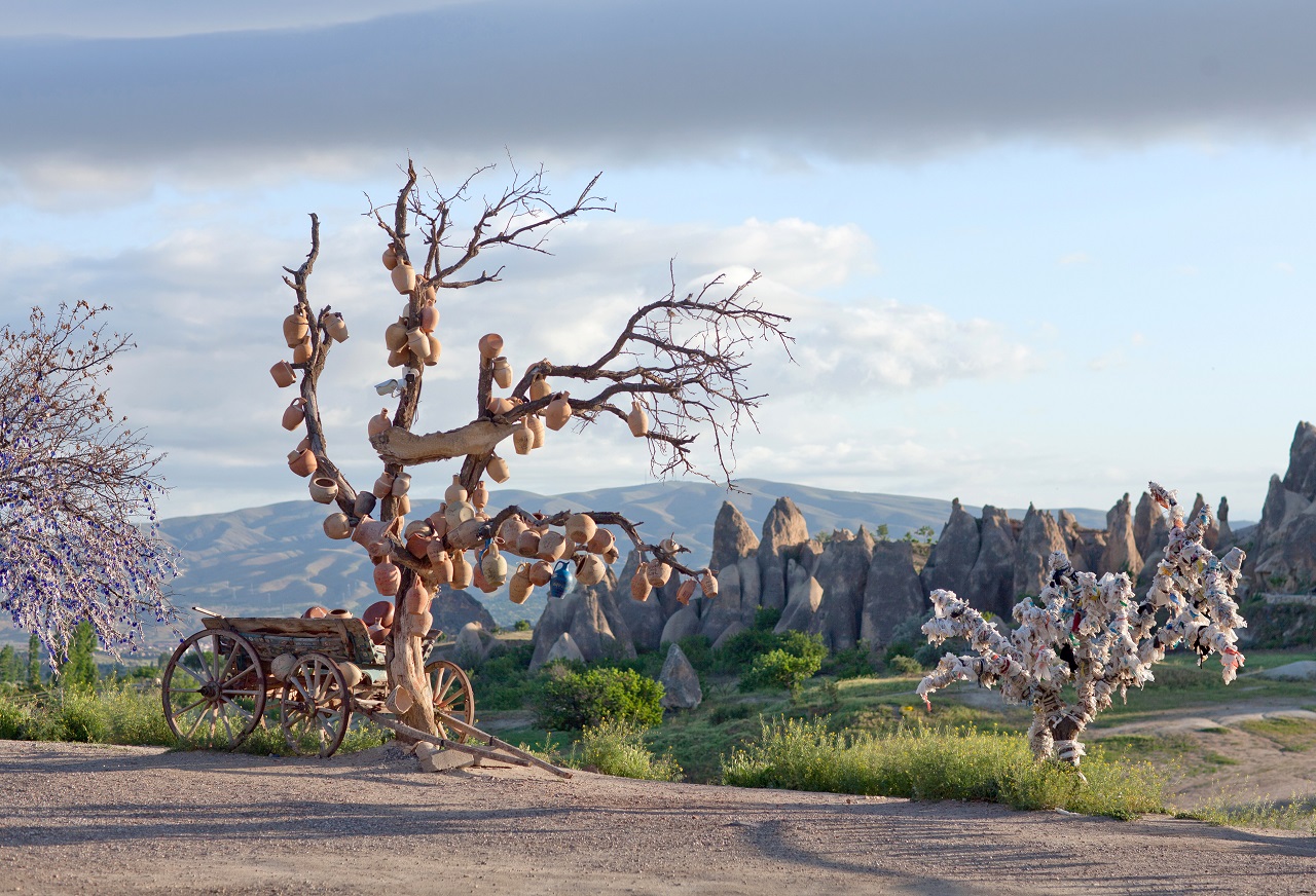 Tree,Of,Wishes,In,Goreme,,Cappadocia,,Central,Anatolia,,Turkey