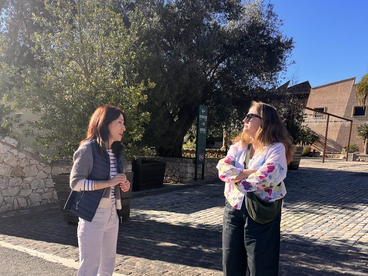 Alicante_Bodegas_Wine_Tour_5