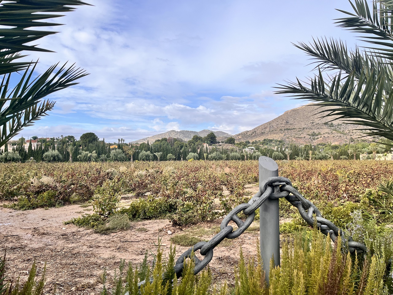 Alicante_Casa_Siciliano_Wine Tour_3