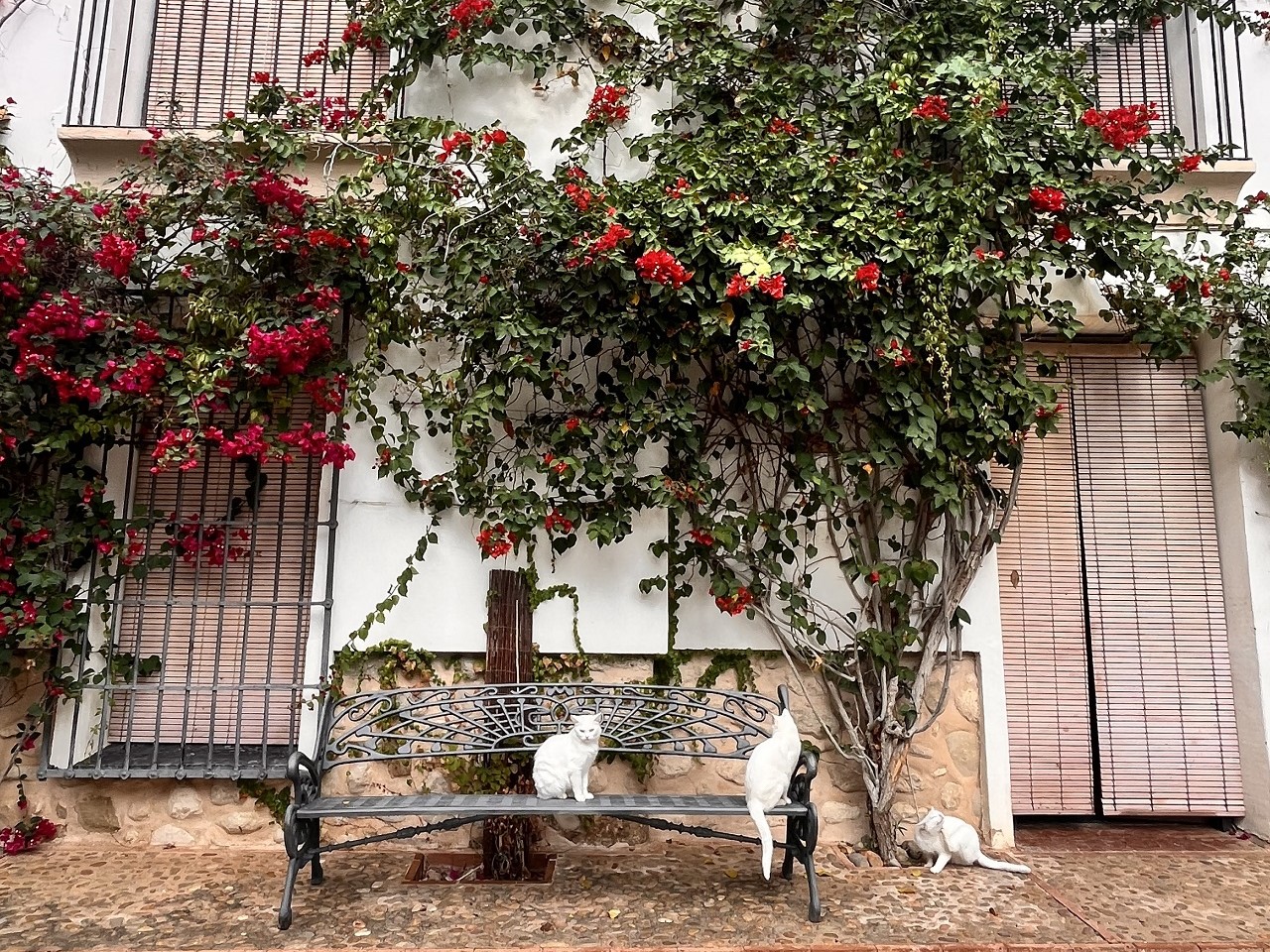 Alicante_Casa_Siciliano_Wine Tour_7